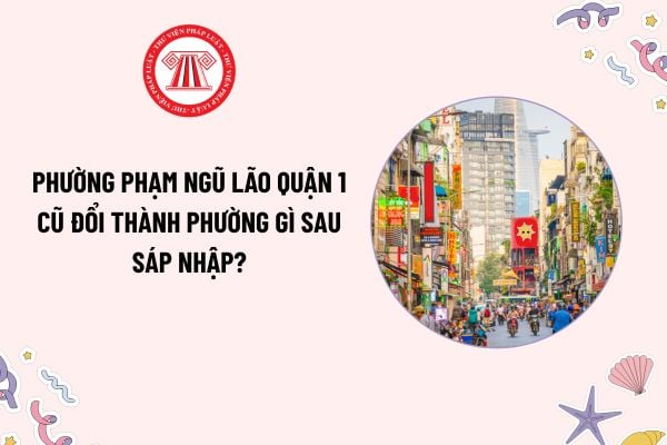 Pháp luật