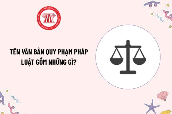 Pháp luật