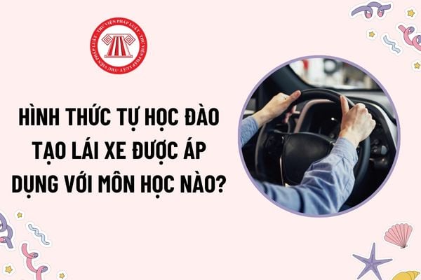 Hình thức tự học đào tạo lái xe được áp dụng với môn học nào? Đào tạo lái xe để nâng hạng GPLX thực hiện với những đối tượng nào?