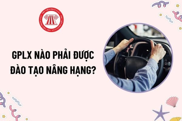 Giấy phép lái xe nào phải được đào tạo nâng hạng theo quy định mới? GPLX sau khi nâng hạng có được giữ nguyên điểm không?