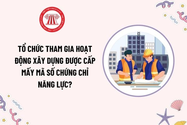 Tổ chức tham gia hoạt động xây dựng được cấp mấy mã số chứng chỉ năng lực? Điều kiện chung về kinh nghiệm để được cấp chứng chỉ?