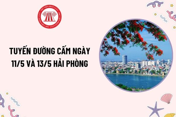 Pháp luật