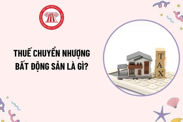 Pháp luật