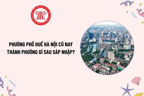Pháp luật