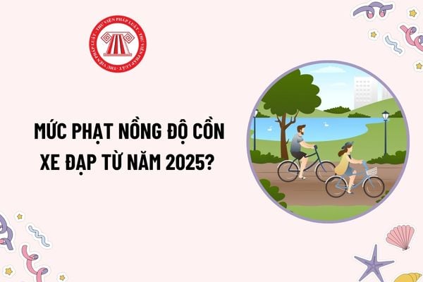 Đi xe đạp có nồng độ cồn bao nhiêu thì bị phạt? Mức phạt nồng độ cồn xe đạp từ năm 2025 như thế nào?