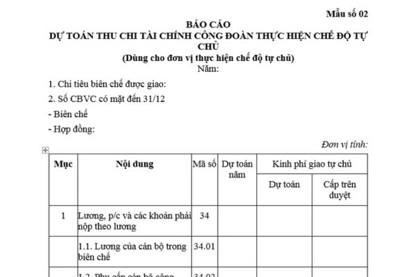 Mẫu Báo cáo dự toán thu chi tài chính công đoàn thực hiện chế độ tự chủ là mẫu nào? Trách nhiệm thực hiện chế độ tự chủ?