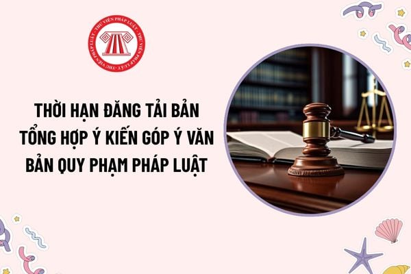 Pháp luật