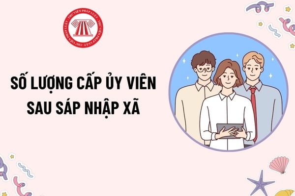 Sáp nhập xã: Số lượng cấp ủy viên sau sáp nhập của đảng bộ mới? Ai có quyền quyết định thành lập đảng bộ mới sau sáp nhập?