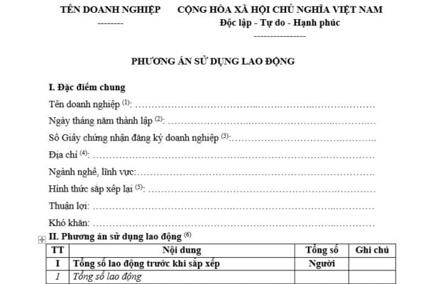 Mẫu Phương án sử dụng lao động mới nhất? Tải mẫu? Khi nào phải xây dựng phương án sử dụng lao động?