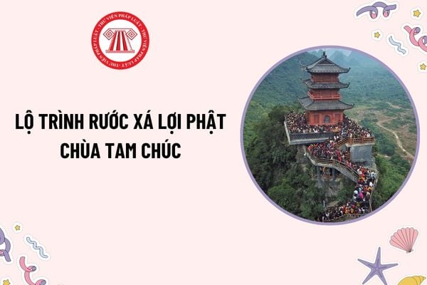 Pháp luật