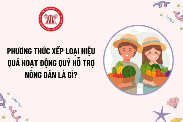 Phương thức xếp loại hiệu quả hoạt động Quỹ hỗ trợ nông dân là gì? Quỹ hỗ trợ nông dân phải báo cáo kết quả đánh giá đến ai?