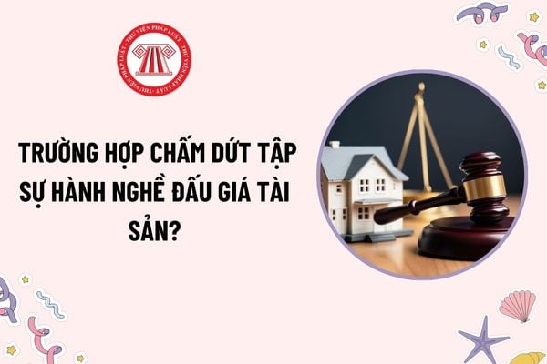 Thay đổi nơi tập sự hành nghề đấu giá tài sản sang tỉnh khác được không? Trường hợp chấm dứt tập sự hành nghề đấu giá tài sản?