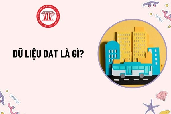 Dữ liệu DAT là gì? Yêu cầu đối với Hệ thống thông tin đào tạo lái xe tại cơ sở đào tạo lái xe là gì?