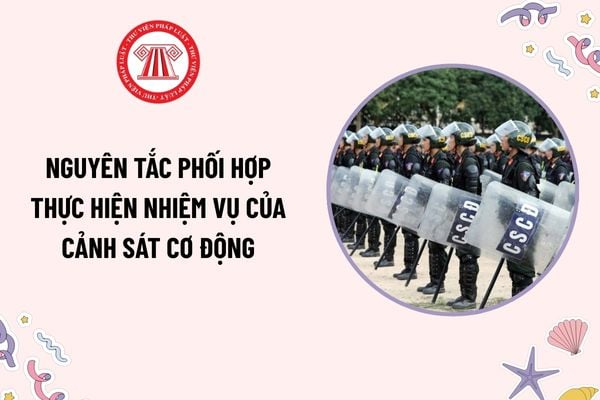 Pháp luật