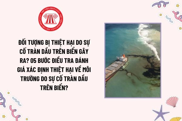 Đối tượng bị thiệt hại do sự cố tràn dầu trên biển gây ra? 05 bước điều tra đánh giá xác định thiệt hại về môi trường do sự cố tràn dầu trên biển?