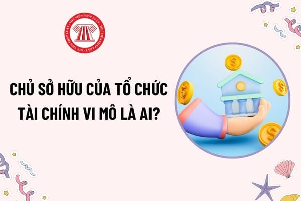 Chủ sở hữu của tổ chức tài chính vi mô là ai? Chủ sở hữu của tổ chức tài chính vi mô phải đáp ứng điều kiện gì?