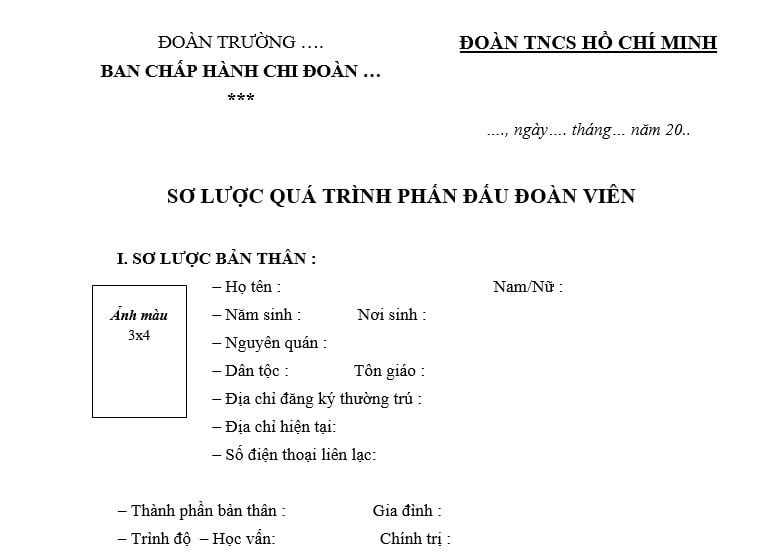 Mẫu Sơ lược quá trình phấn đấu Đoàn viên ưu tú? Tải mẫu? Thủ tục kết nạp Đoàn viên ưu tú vào Đảng?