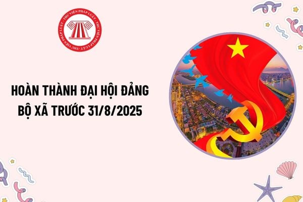 Pháp luật