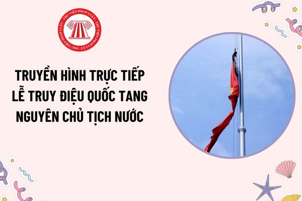 Pháp luật