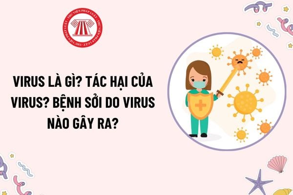 Virus là gì? Tác hại của virus? Bệnh sởi do virus nào gây ra? Biến chứng của bệnh sởi do virus sởi gây ra là gì?