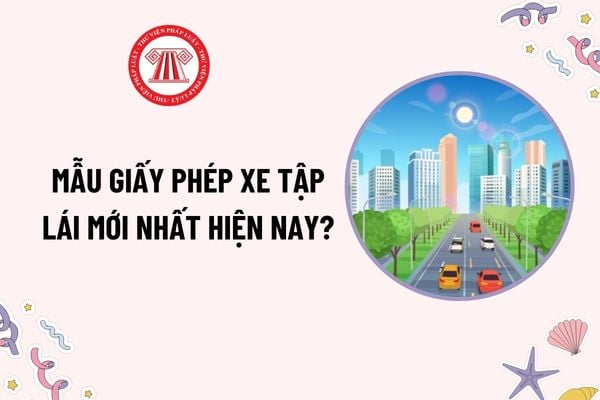 Mẫu giấy phép xe tập lái mới nhất hiện nay? Tải mẫu? Xe tập lái của cơ sở đào tạo lái xe ô tô cần đáp ứng điều kiện gì?