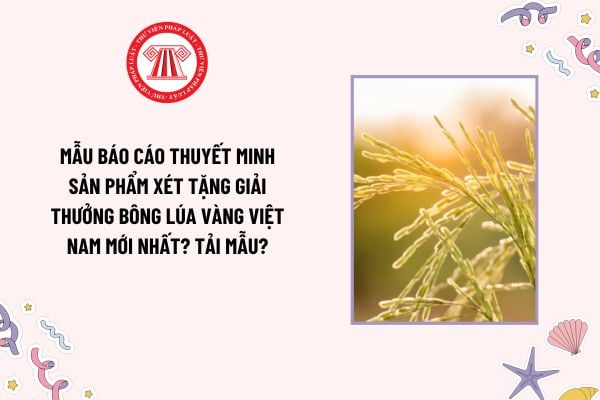 Mẫu Báo cáo Thuyết minh sản phẩm xét tặng Giải thưởng Bông lúa vàng Việt Nam mới nhất? Tải mẫu?