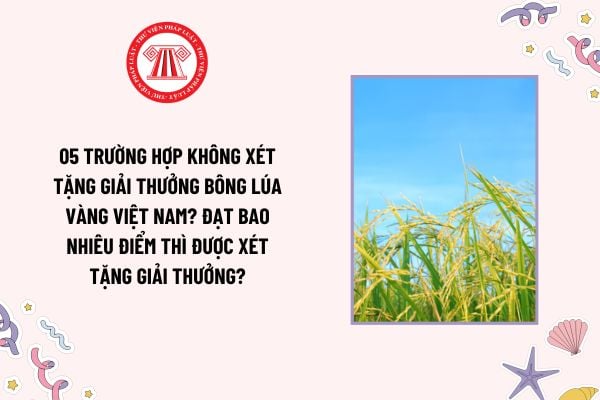 05 trường hợp không xét tặng Giải thưởng Bông lúa vàng Việt Nam? Đạt bao nhiêu điểm thì được xét tặng Giải thưởng?