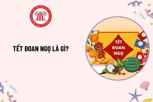 Pháp luật