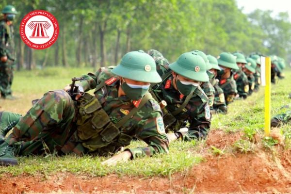 Pháp luật