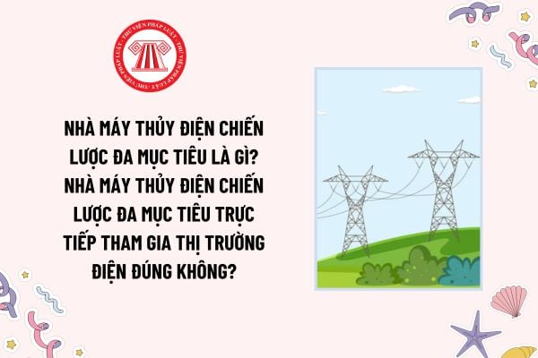 Nhà máy thủy điện chiến lược đa mục tiêu là gì? Nhà máy thủy điện chiến lược đa mục tiêu trực tiếp tham gia thị trường điện đúng không?