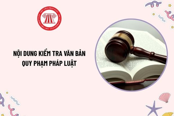 Pháp luật