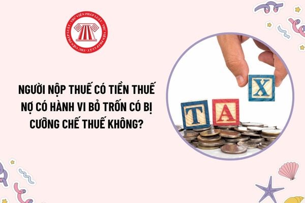 Pháp luật