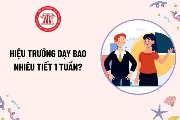 Pháp luật