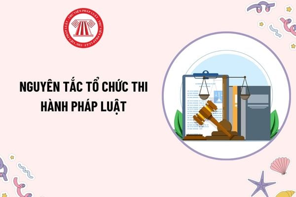 Pháp luật