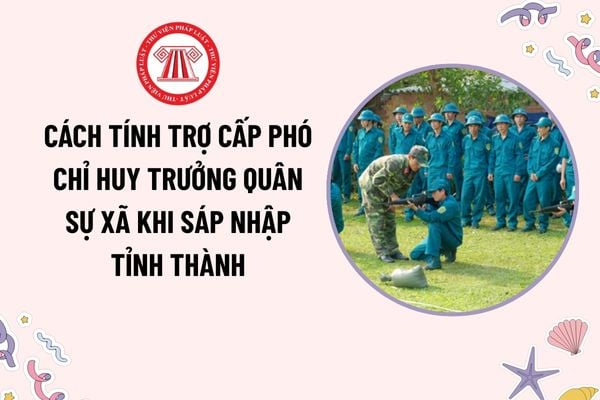 Pháp luật