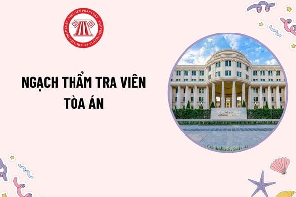 Pháp luật