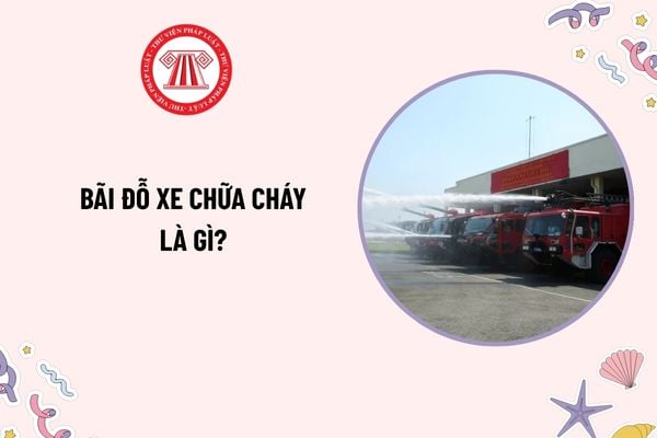 Pháp luật