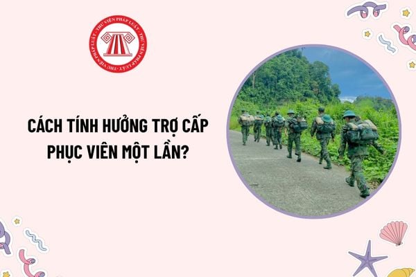 Pháp luật