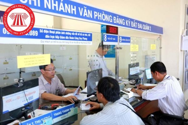 Chi nhánh Văn phòng đăng ký đất đai có được thành lập phòng chuyên môn? Có được cấp sổ đỏ cho người gốc Việt Nam định cư ở nước ngoài?