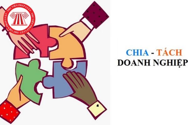 Khi chia doanh nghiệp do Nhà nước nắm giữ 100% vốn điều lệ người lao động có được hưởng trợ cấp thôi việc?