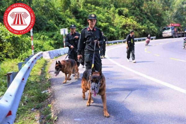 Phạm nhân bỏ trốn khỏi trại giam sẽ bị phạt tù thêm bao nhiêu năm? Phạm nhân bỏ trốn trong thời gian bao lâu thì bị truy nã?