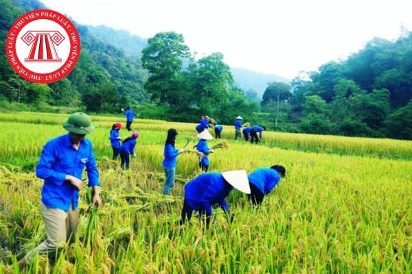 Thanh niên xung phong sau khi hoàn thành nhiệm vụ có được ưu tiên thi công chức không? Thanh niên xung dự thi công chức được cộng bao nhiêu điểm?