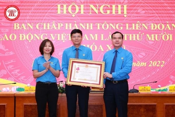 Quỹ xã hội từ thiện Tấm lòng vàng thành lập nhằm mục đích hỗ trợ cho những đối tượng nào? 