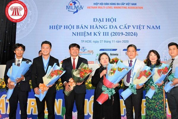 Chủ tịch Hiệp hội Bán hàng đa cấp Việt Nam do ai có quyền bầu trong số các Ủy viên Ban Thường vụ Hiệp hội?