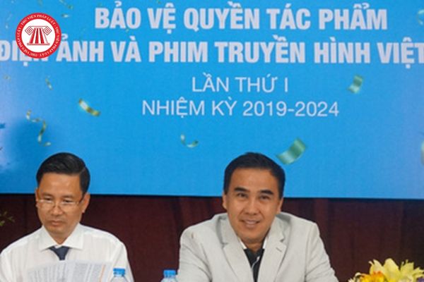 Ban Chấp hành Hội Bảo vệ quyền tác phẩm điện ảnh và Phim truyền hình Việt Nam do ai có quyền bầu trong số các hội viên của Hội?