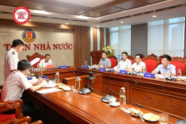 Những ai có thể làm Ủy viên Hội đồng khoa học Kiểm toán nhà nước? 