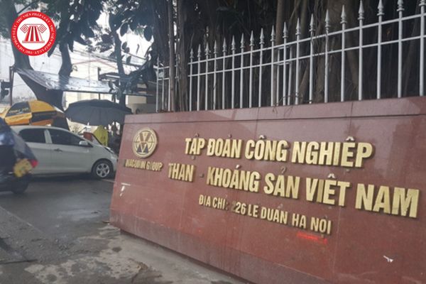 Thành viên Ban kiểm soát Tổng công ty than Việt Nam có được là vợ của kế toán trưởng Tổng công ty không?