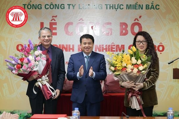 Ai có quyền bổ nhiệm Chủ tịch Hội đồng thành viên Tổng công ty Lương thực miền Bắc? 