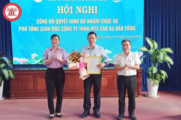 Thành viên Ban kiểm soát Tổng công ty cao su Việt Nam có được là người có tiền án về các tội danh liên quan đến hoạt động kinh tế không?