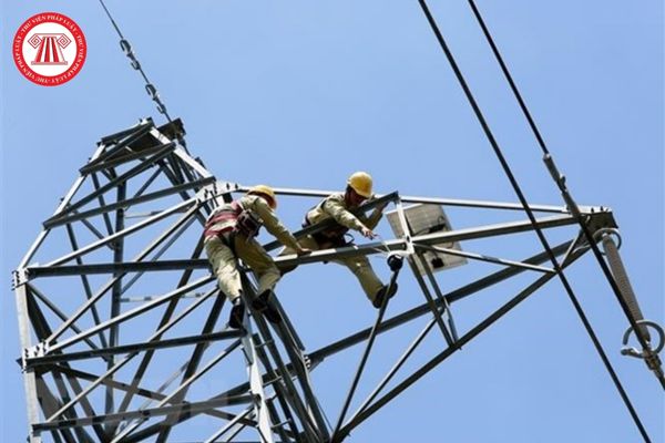 Ban Chỉ đạo quốc gia về phát triển điện lực làm việc theo nguyên tắc gì? 